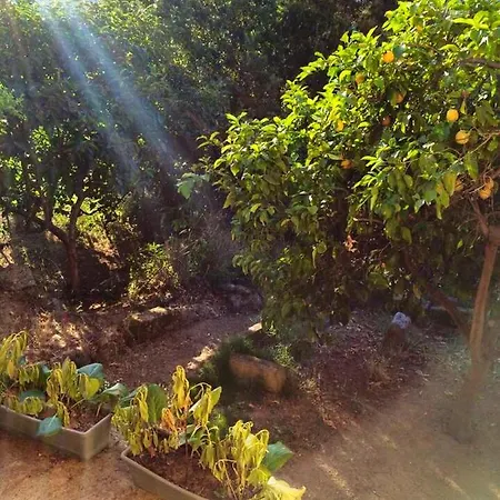 Maison De Charme A Avec Terrasse Et Jardin Αζάτσιο