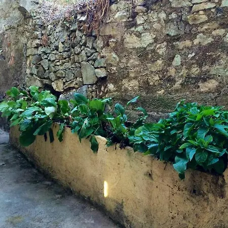 Maison De Charme A Avec Terrasse Et Jardin * Αζάτσιο