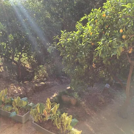 Maison De Charme A Avec Terrasse Et Jardin Holiday home