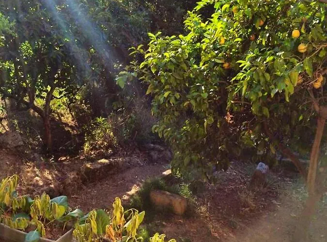 Maison De Charme A Avec Terrasse Et Jardin Ajaccio (Corsica)