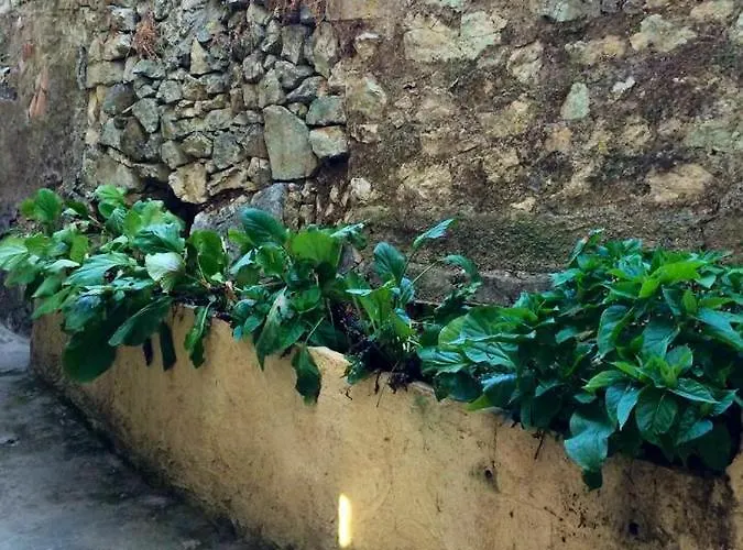 Maison De Charme A Avec Terrasse Et Jardin * Ajaccio (Corsica)